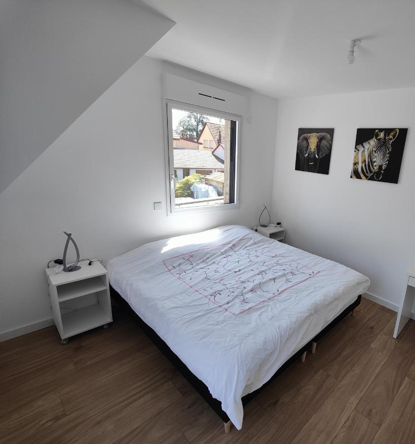 Appartement 48M², Strasbourg Centre A 15 Min En Train Fegersheim Exteriör bild